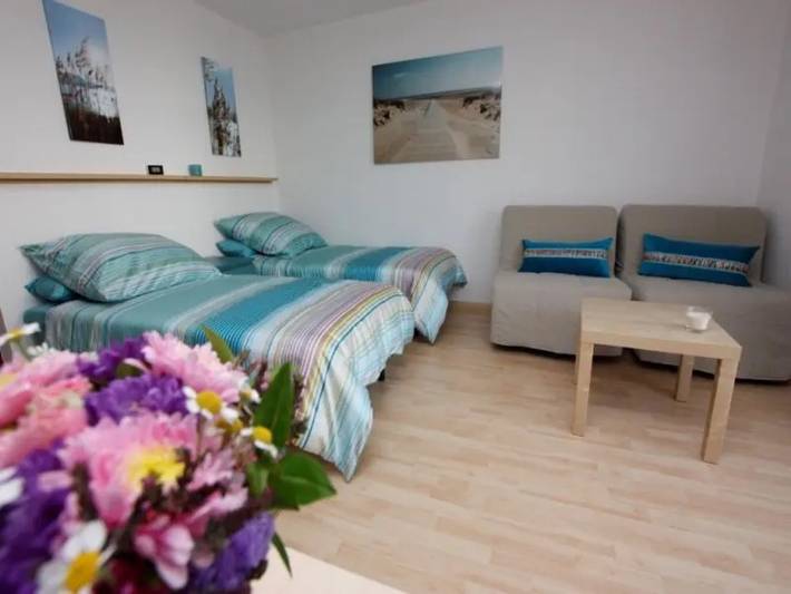 Studio für 4 Personen, mit Balkon, mit Haustier in Freiburg