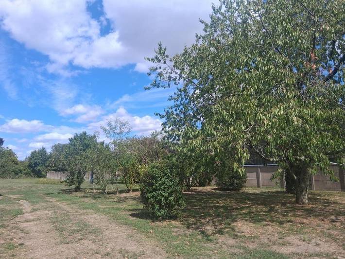 Gîte pour 4 personnes, avec jardin et terrasse à Mézières-en-Brenne - 2