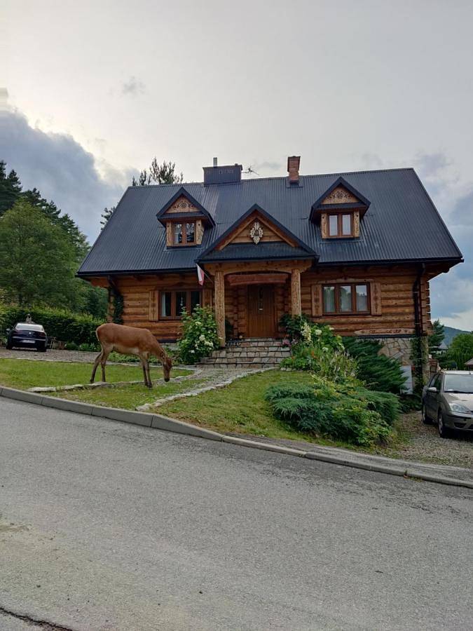 Cały apartament wypoczynkowy, Two-Level Family Room in Ustrzyki Dolne, Karpaty (Polska)