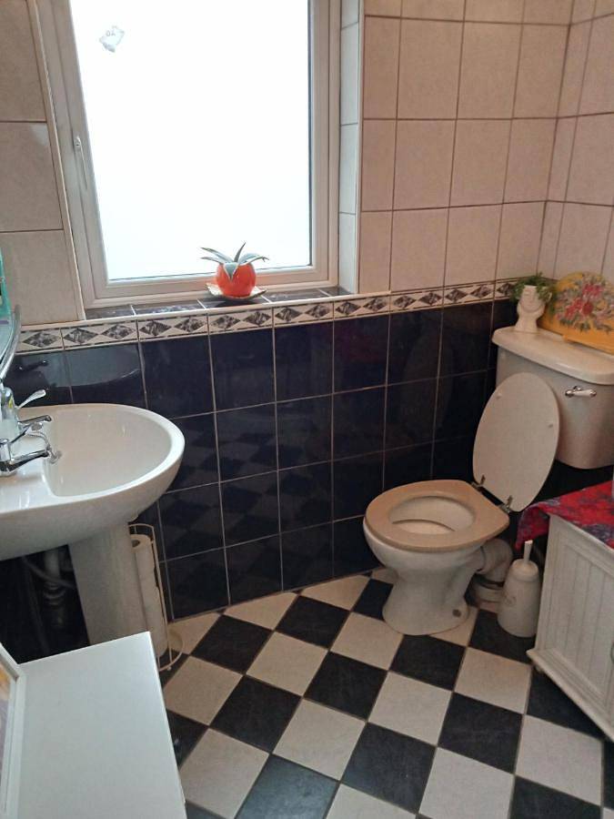 Gîte pour 2 personnes, avec vue ainsi que jardin et terrasse à Castletownbere - 4
