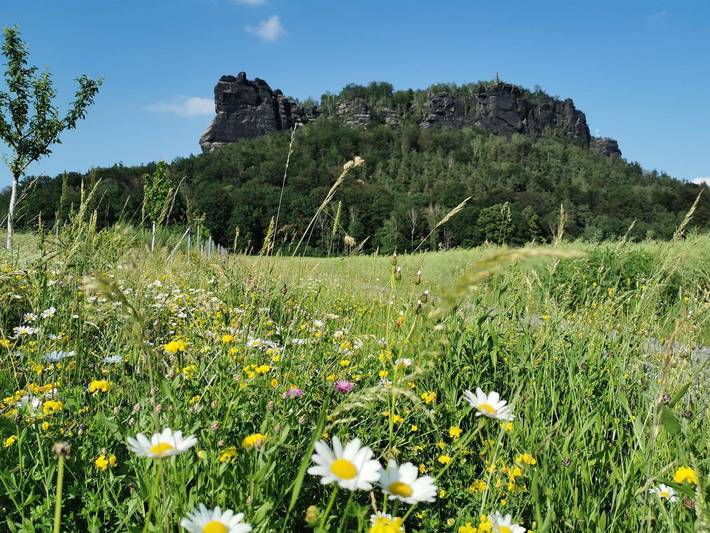Ferienhaus für 2 Personen, mit Terrasse und Ausblick in Königstein - 2