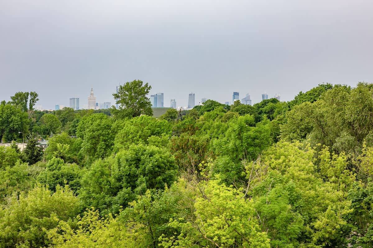 Estudio entero, Plosa 3 | Comfortable Studio | Balcony | Wifi in Targówek, Varsovia