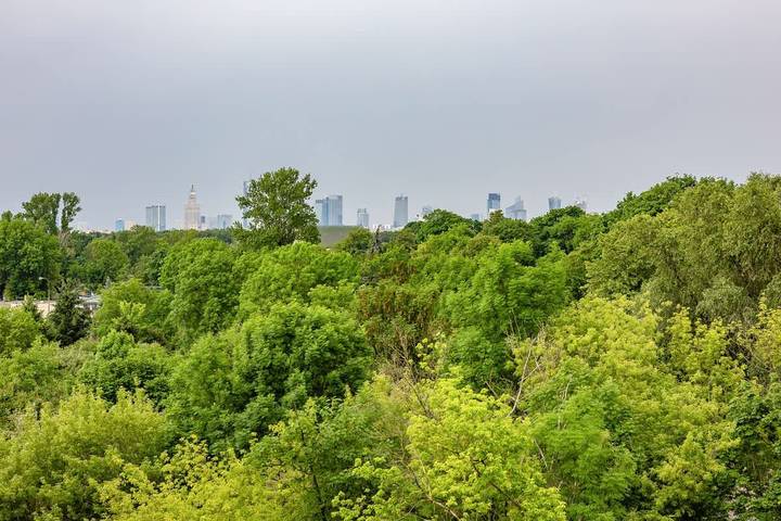 Studio für 2 Personen, mit Balkon/Terrasse, mit Haustier in Warschau - 4