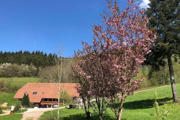 Ferienwohnung für 3 Personen, mit Garten in Waldkirch