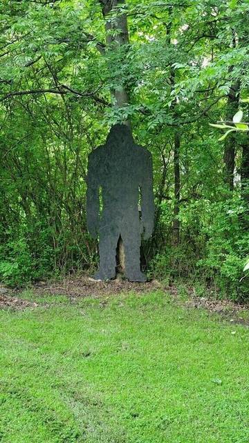 Camping for 6 Guests in Ozark Mountains, Oklahoma, Picture 1