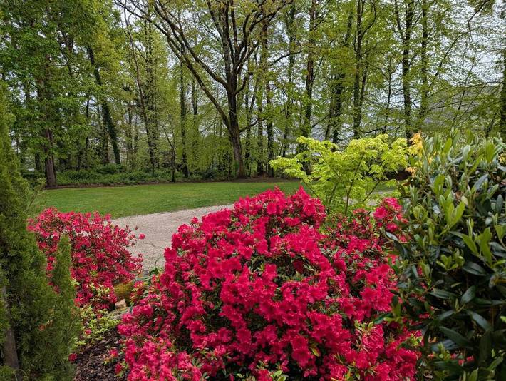 Location de vacances pour 2 personnes, avec jardin ainsi que vue et terrasse, animaux acceptés à Pontivy - 4