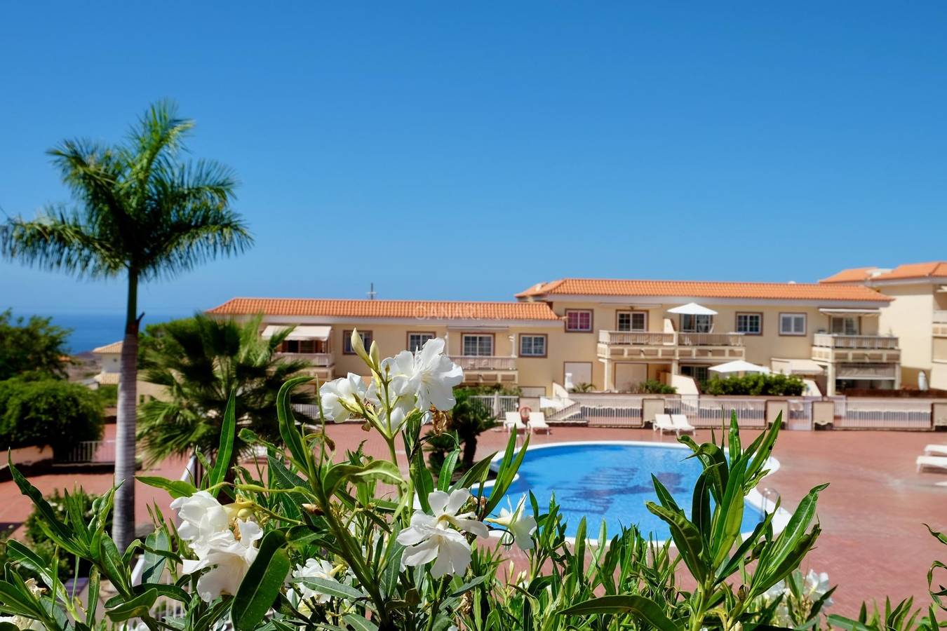 Appartement de vacances entier, Penthouse Carlota:Vues panoramiques, confort dans un cadre tranquille in Chayofa, Arona