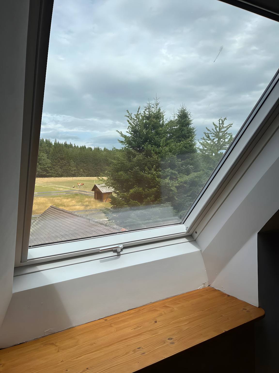 Ganze Wohnung, Ferienwohnung 'Rotkäppchen' mit Gemeinschaftsgarten und Wlan in Eisenbach, Hochschwarzwald