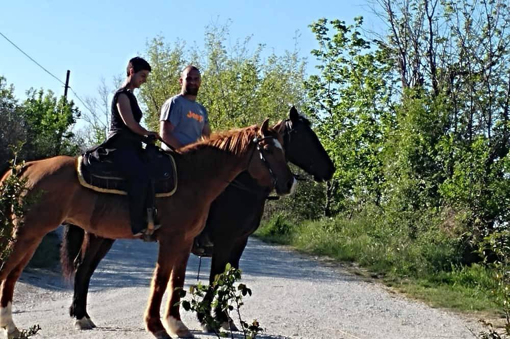 Casa vacanza a Pesaro-Urbino a partire da 194€ a notte