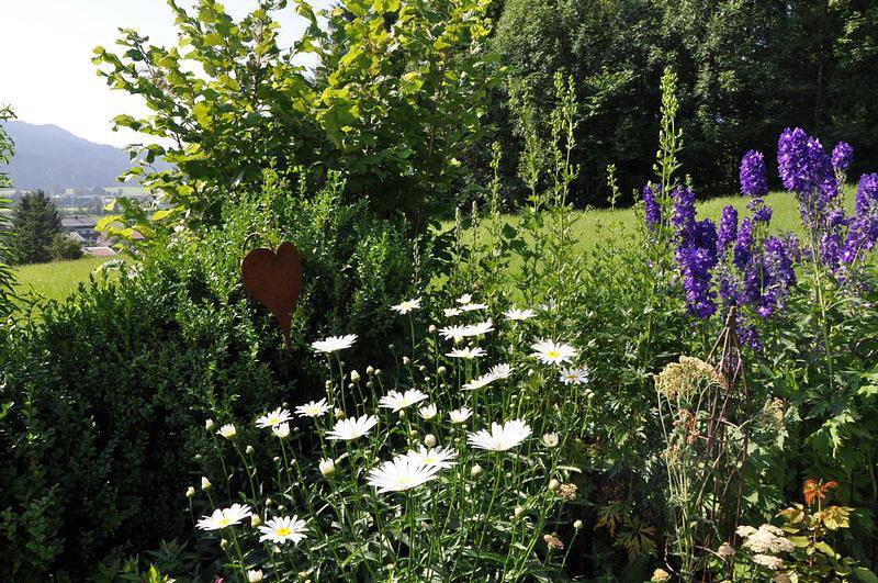 Ganze Ferienwohnung, Appartement 3 - Bauernhaus in Alpbach, Kaisergebirge