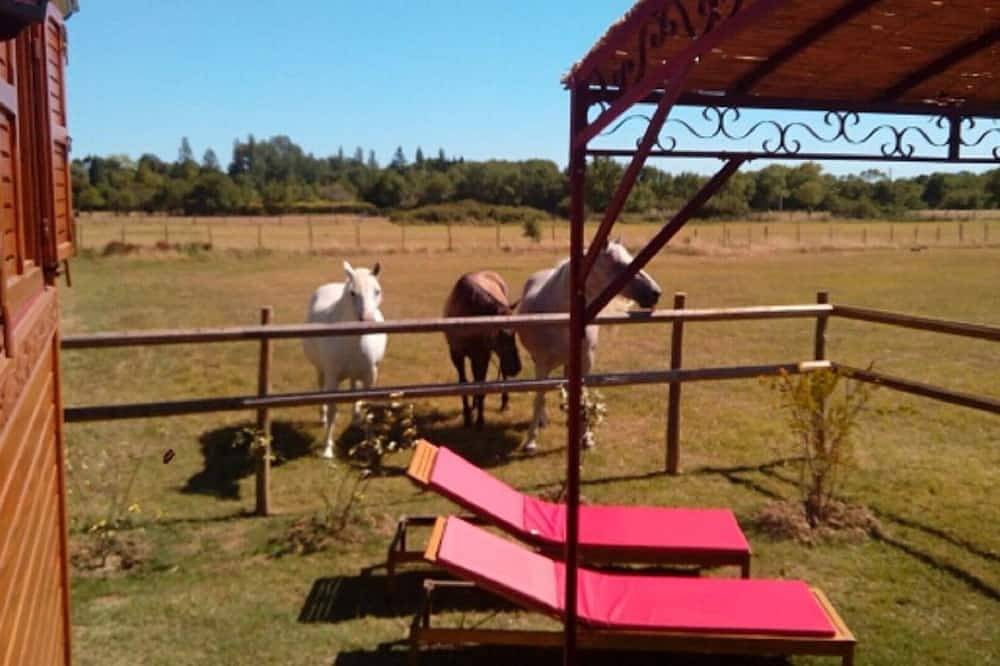 Die Nanou'che \"Roulotte in der Camargue\" in Le Cailar, Mittelmeerküste (Frankreich)