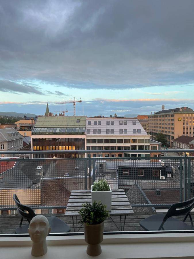 Ferienwohnung für 2 Personen, mit Ausblick und Terrasse in Trondheim - 3