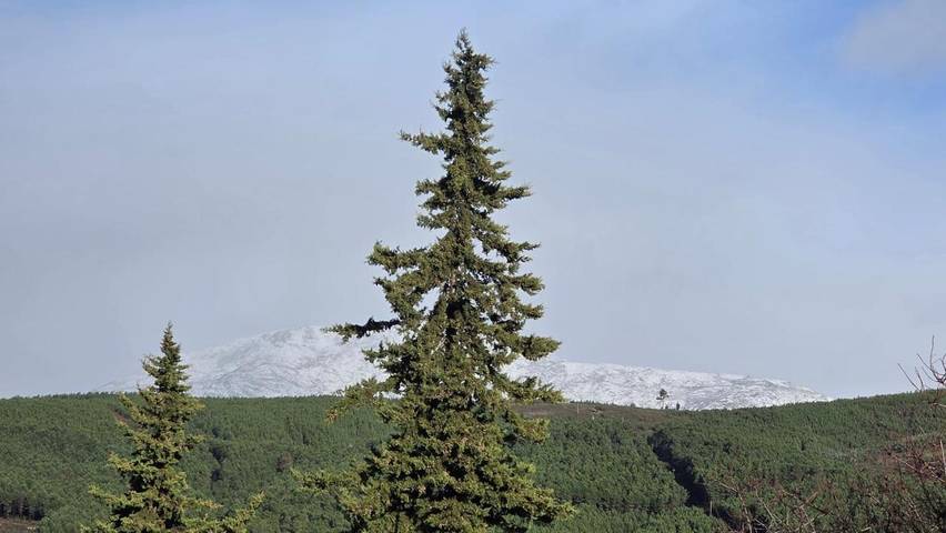 Casa de férias para 10 pessoas, com vista e piscina e ainda terraço, com animais de estimação em Covilhã