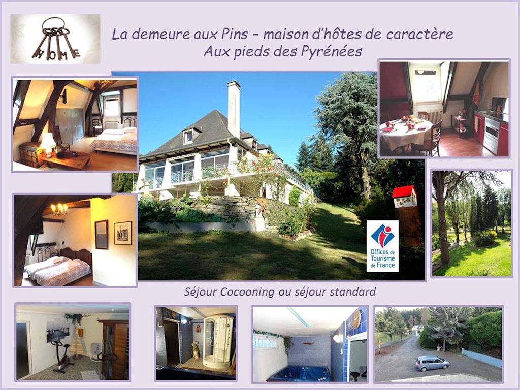 La Demeure aux Pins - Suite junior Pivoine in Lourdes, Hautes-Pyrénées