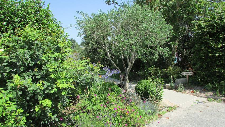 Chambre d’hôte pour 2 personnes, avec piscine et jardin en Vendée - 3