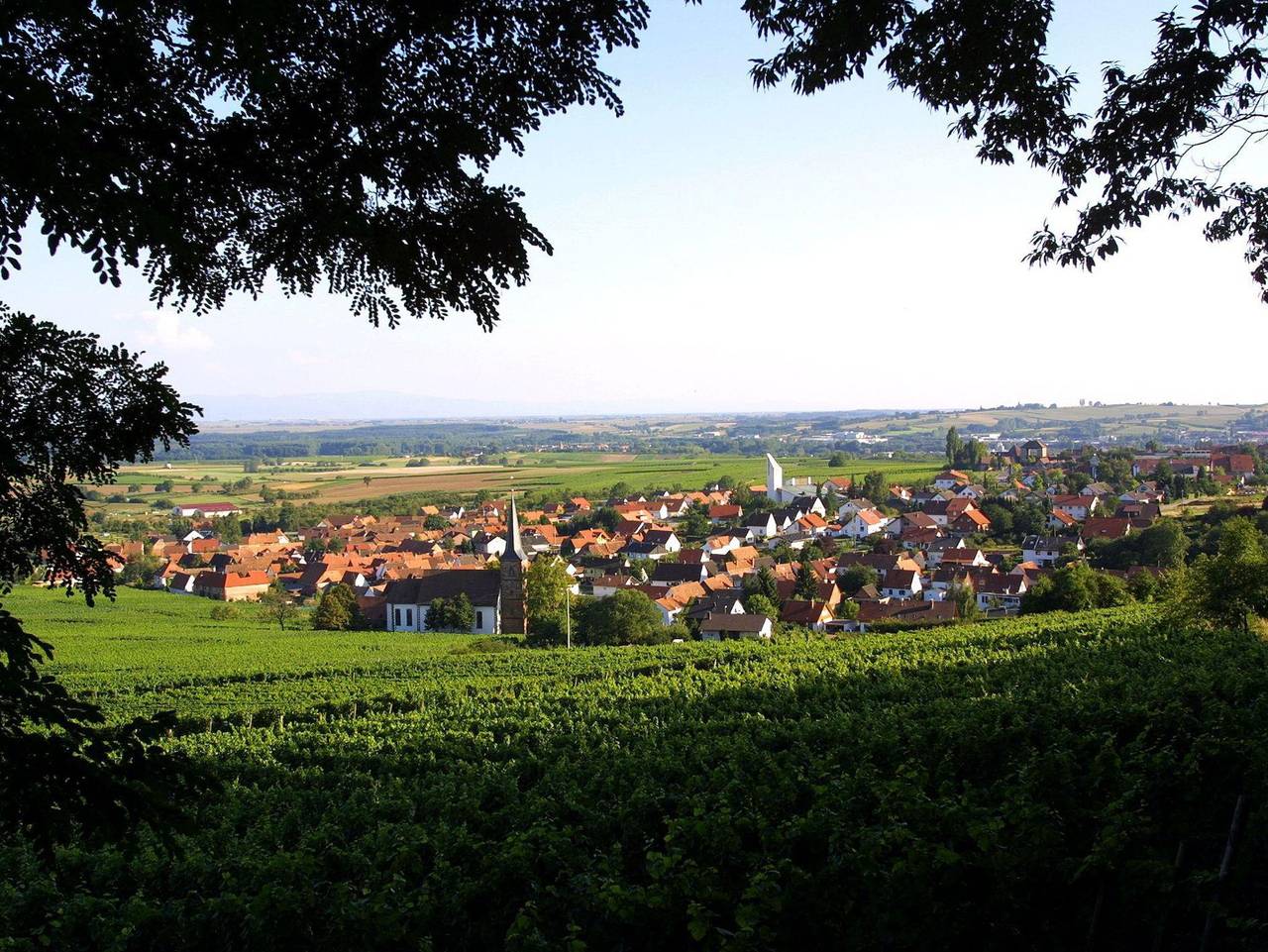 Amelie N°3 Schweigen-Rechtenbach - Amelie Loft in Schweigen-Rechtenbach, Südliche Weinstraße