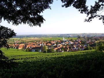 Hotel für 4 Personen in Schweigen-Rechtenbach, Südliche Weinstraße, Bild 3