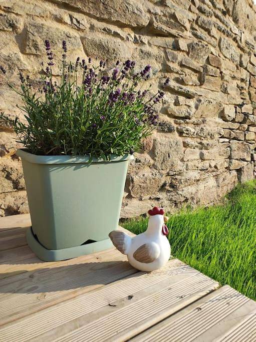 Location de vacances pour 9 personnes, avec jardin à Trédarzec - 3