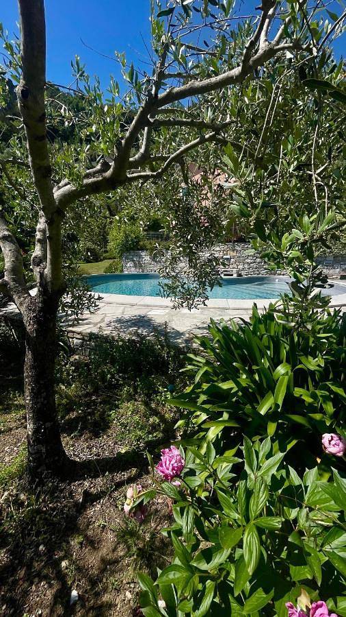 Chambre d’hôte pour 2 personnes, avec jardin ainsi que vue et piscine, animaux acceptés à Sestri Levante - 4