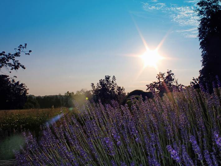 Gîte pour 4 personnes, avec balcon/terrasse et terrasse, adapté aux familles à Bad Endorf - 4