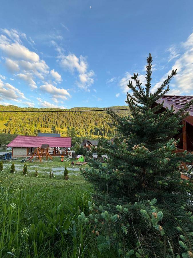 Maison d’hôte pour 2 personnes, avec vue ainsi que terrasse et jardin, animaux acceptés à Alba (Romania) - 2