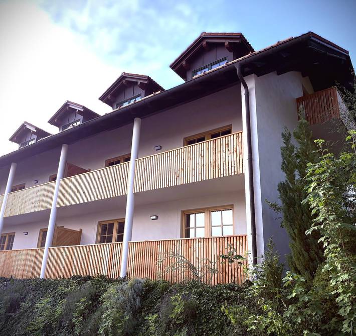 Ferienhaus für 4 Personen, mit Balkon/Terrasse und Balkon in Sankt Oswald-Riedlhütte - 3