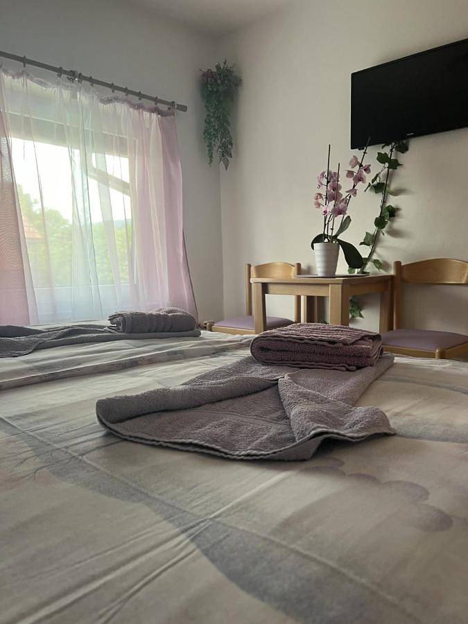 Pension Ttt in Bled, Jezioro Bled