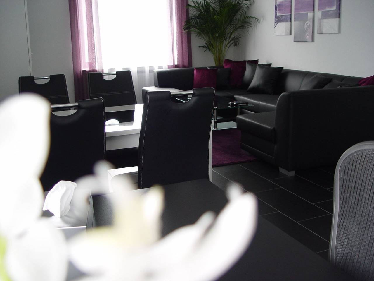 Ganze Wohnung, La Domus Superior in Lotte, Nordrhein-Westfalen