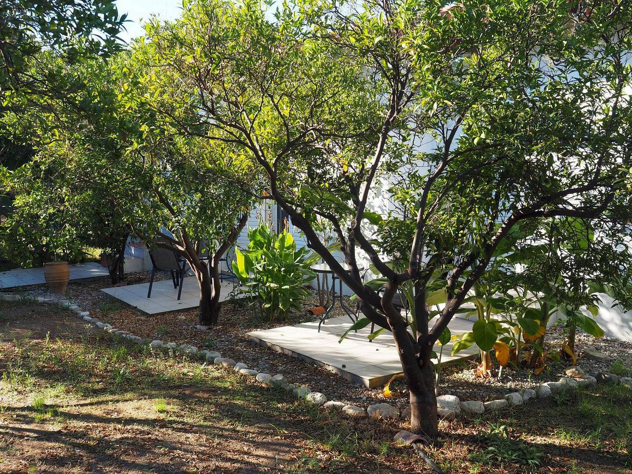 Ruhig gelegen, inmitten eines Olivenhains, nah zum Strand, Wifi | Ferienhaus Ilia, Peloponnes in Golf von Kyparissia