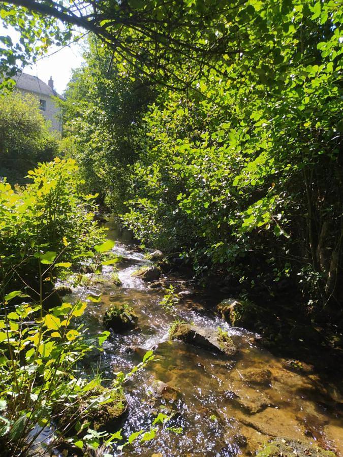 Gîte pour 4 personnes, avec terrasse et vue ainsi que vue sur le lac et jardin, animaux acceptés à Arleuf - 3