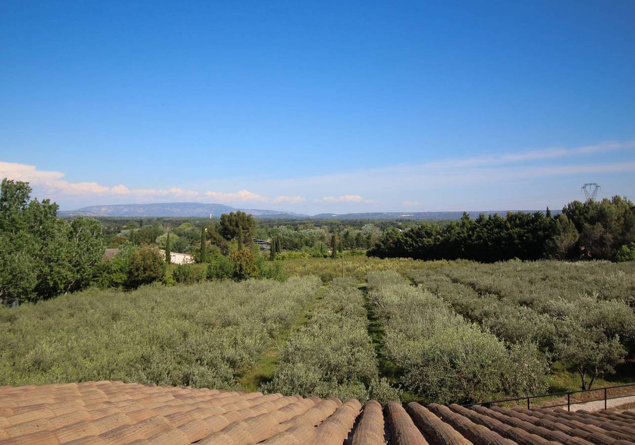 Exceptional landhouse in Noves, Alpilles, none opposite, large pool, pets allowed (2). in Noves, Arles region