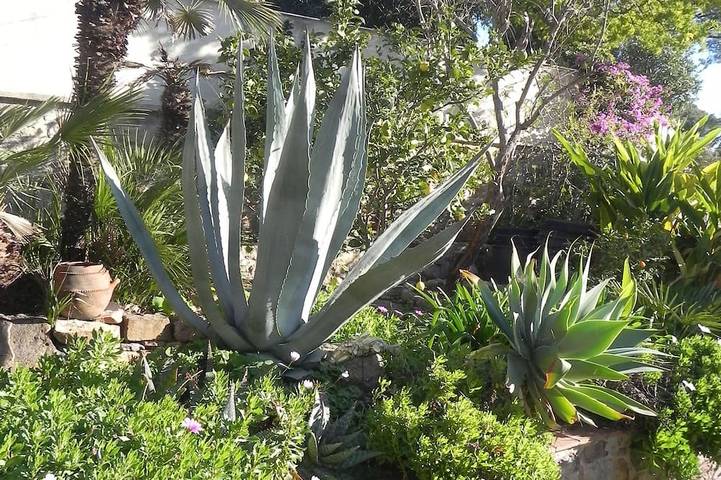 Gîte pour 3 personnes, avec balcon et jardin, animaux acceptés dans Plage de l'Almanarre - 4
