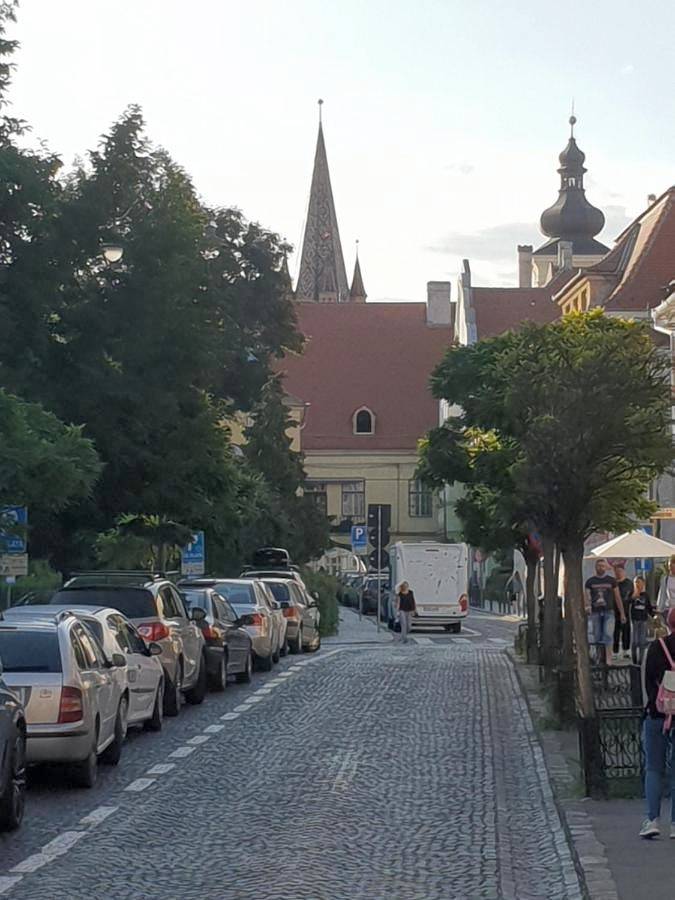 Ganze Wohnung, Stefy Central in Hermannstadt, Karpaten