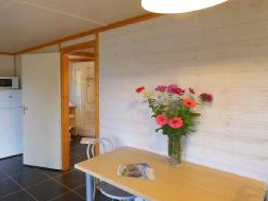 Vacances Ulvf Le Domaine de Pelvezy - Gîte 4 personnes - Gîte 4 personnes Pmr in Saint-Geniès, Périgord Noir