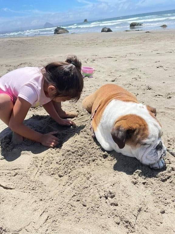 Cayucos Hütte. Schritte zum besten Strand in Cayucos. in Cayucos, San Luis Obispo County