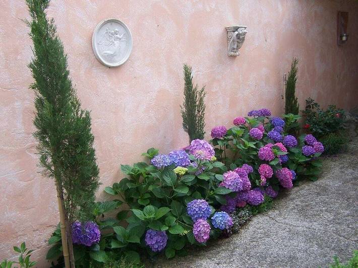 Ferienhaus für 2 Personen, mit Terrasse und Sauna, mit Haustier in der Pfalz - 3