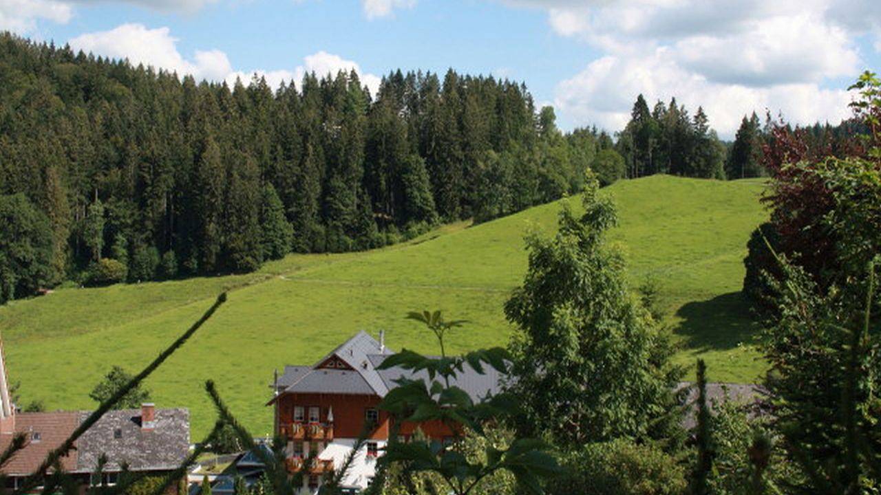 Doppelzimmer für 4 Personen in Hinterzarten in Suedlicher Schwarzwald, Hinterzarten