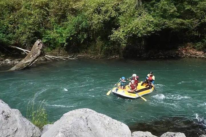Gîte pour 4 personnes, animaux acceptés à Lestelle-Bétharram - 2
