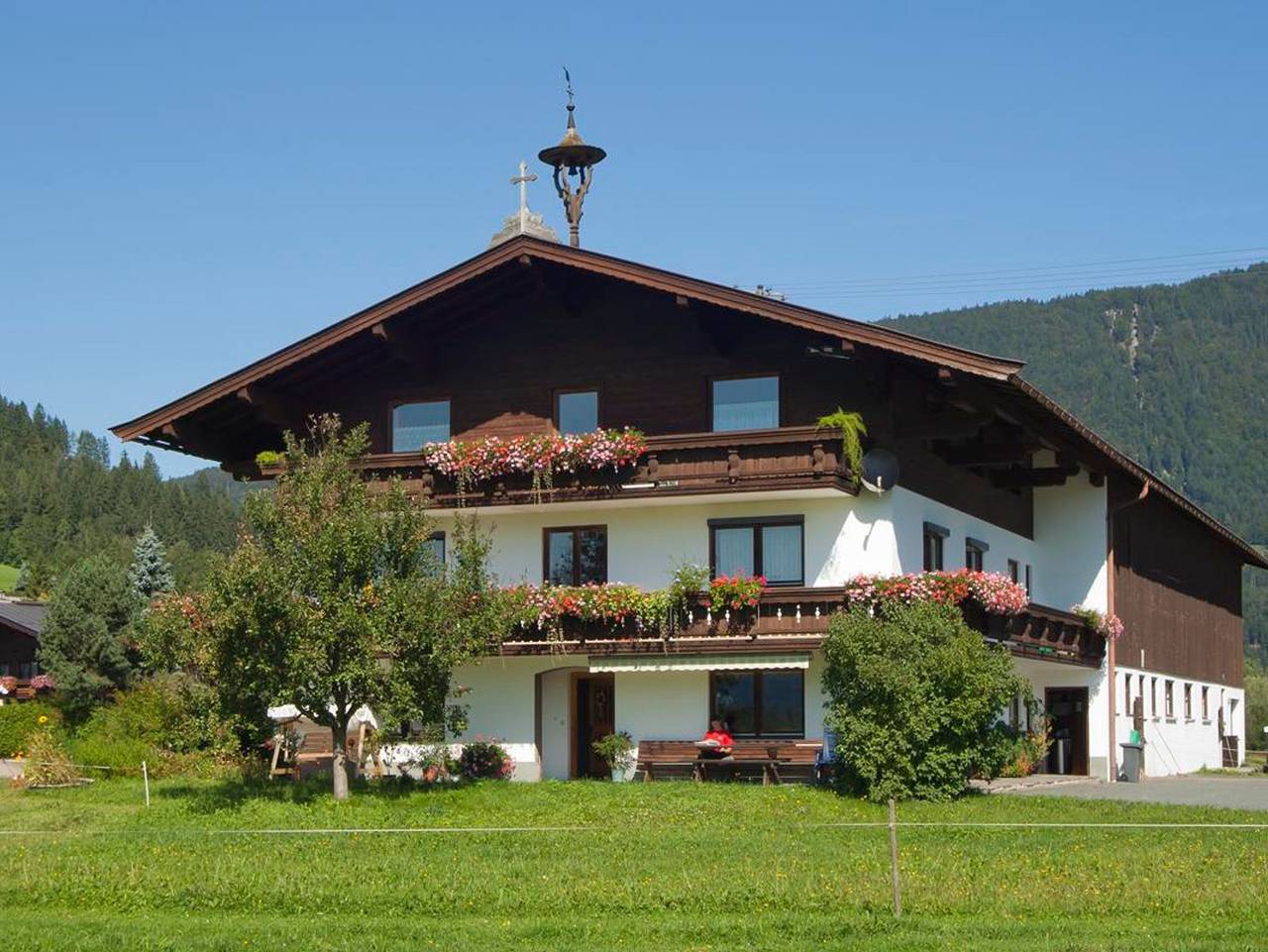 Ganze Ferienwohnung, Erlenhof in Kirchdorf in Tirol, Kitzbüheler Alpen