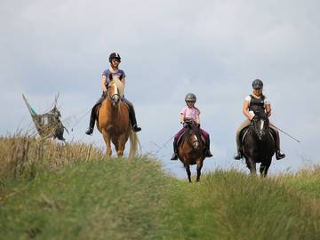 Bauernhof für 5 Personen in Ellenhausen, Westerwald, Bild 4