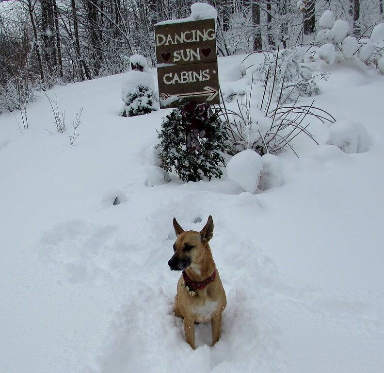 Sundance Pet freundliches Blockhaus mit Whirlpool Wifi Gasgrill Wasserfall Wandern in Madison County (NC)