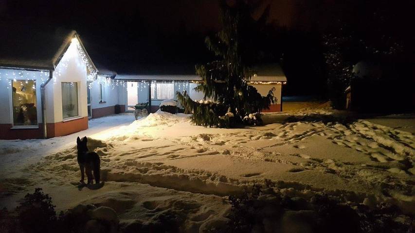 Apartament wakacyjny dla 3 osób, z ogród - 1