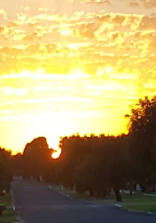 Maison d’hôte pour 30 personnes, avec jardin dans Australie - 3
