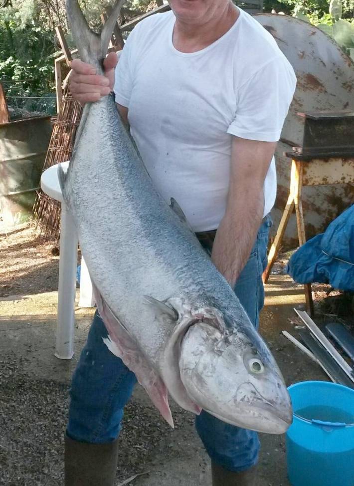Ferienwohnung für 4 Personen, mit Ausblick und Balkon in Mondello - 3