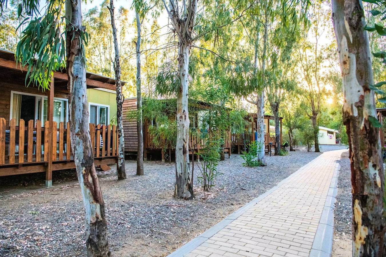 Ganze Wohnung, Aquagarden mit 1 Schlafzimmer 1 bis 4 Personen - 1 Personen. im Preis inbegriffen in Colostrai, Muravera