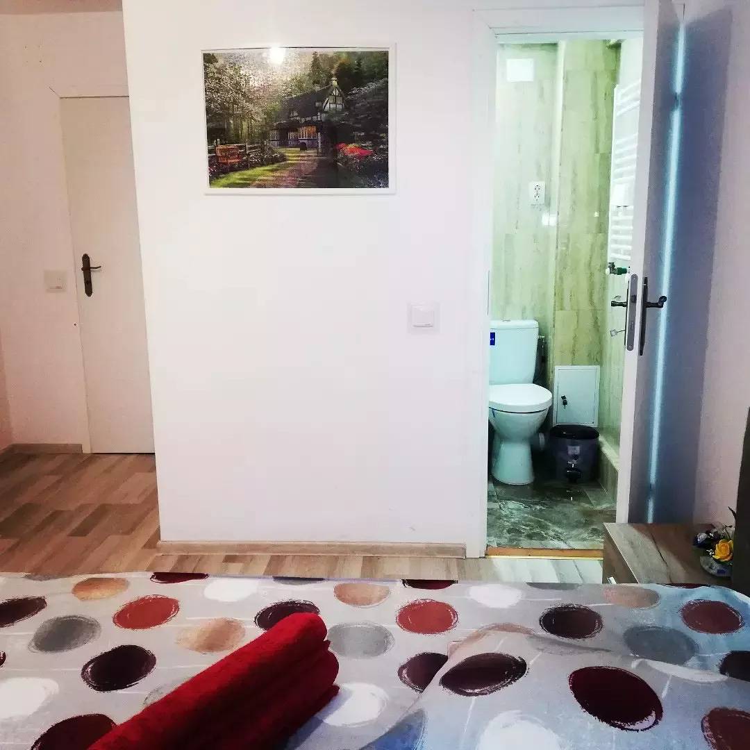 Vila Roberta Breaza Brasov in Karpaten