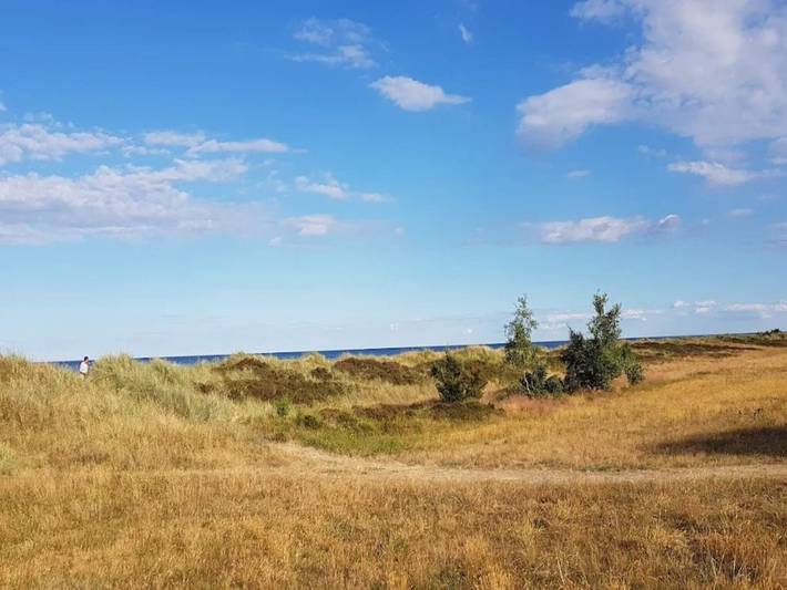 Chalet für 6 Personen, mit Garten und Terrasse, mit Haustier auf Seeland - 3
