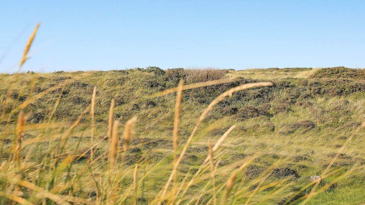 Ferienhaus für 8 Personen (135 m²) in Hirtshals in Hirtshals, Tannisbucht