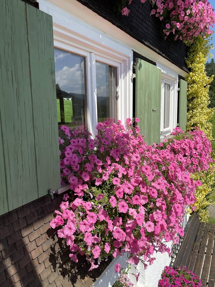 Ferienwohnung für 5 Personen, mit Balkon und Garten in Hörnerdörfer - 2