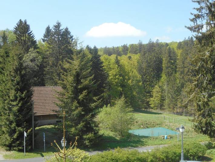 Gîte pour 4 personnes, avec vue, animaux acceptés dans Station du Champ du Feu - 2